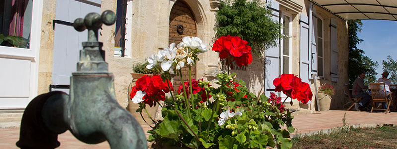 Artistic Exterior Images